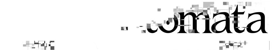 NieR: Automata | Become as Gods Edition Logo